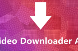 视频下载插件–Video Downloader for Chrome